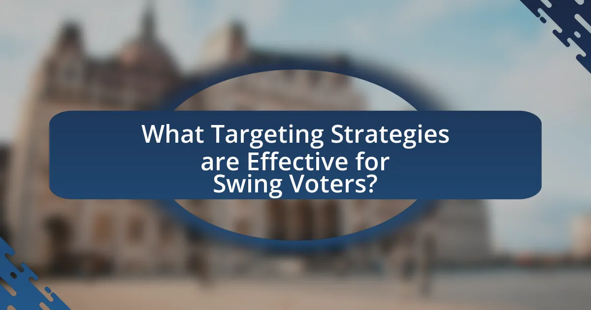What Targeting Strategies are Effective for Swing Voters?