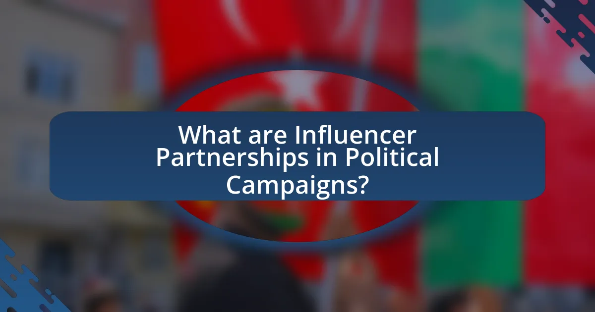 What are Influencer Partnerships in Political Campaigns?