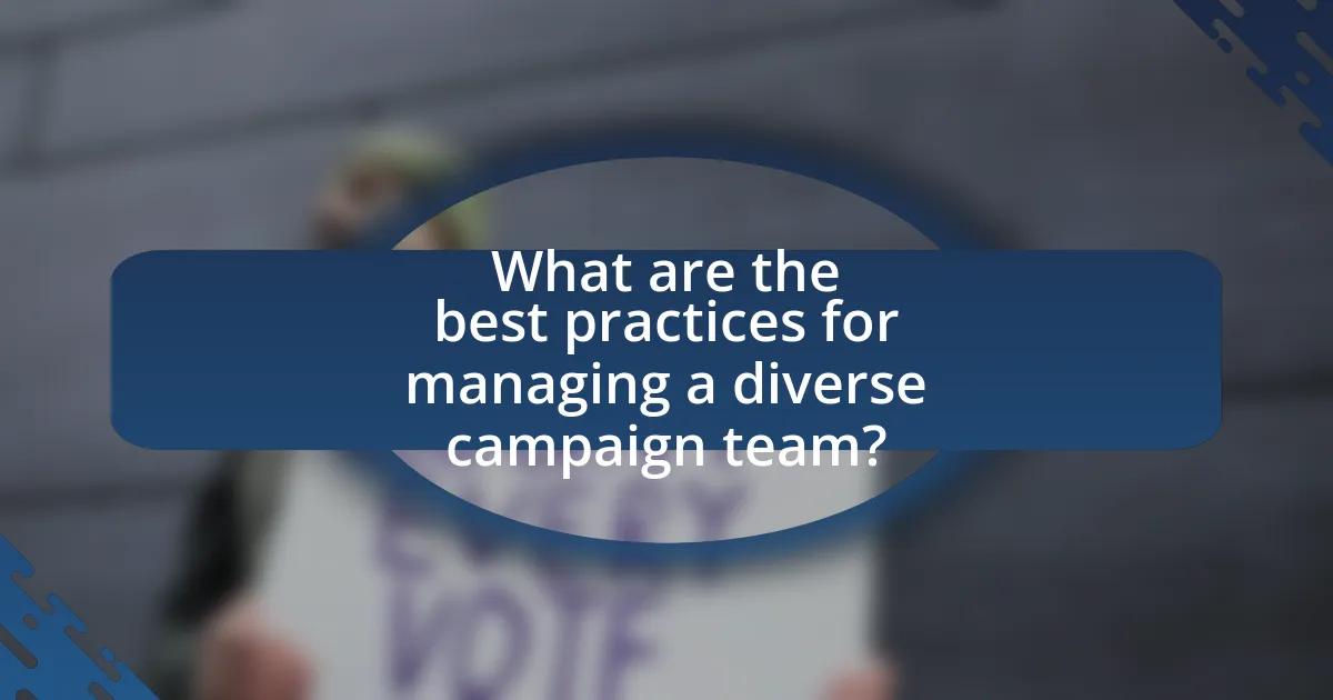 What are the best practices for managing a diverse campaign team?