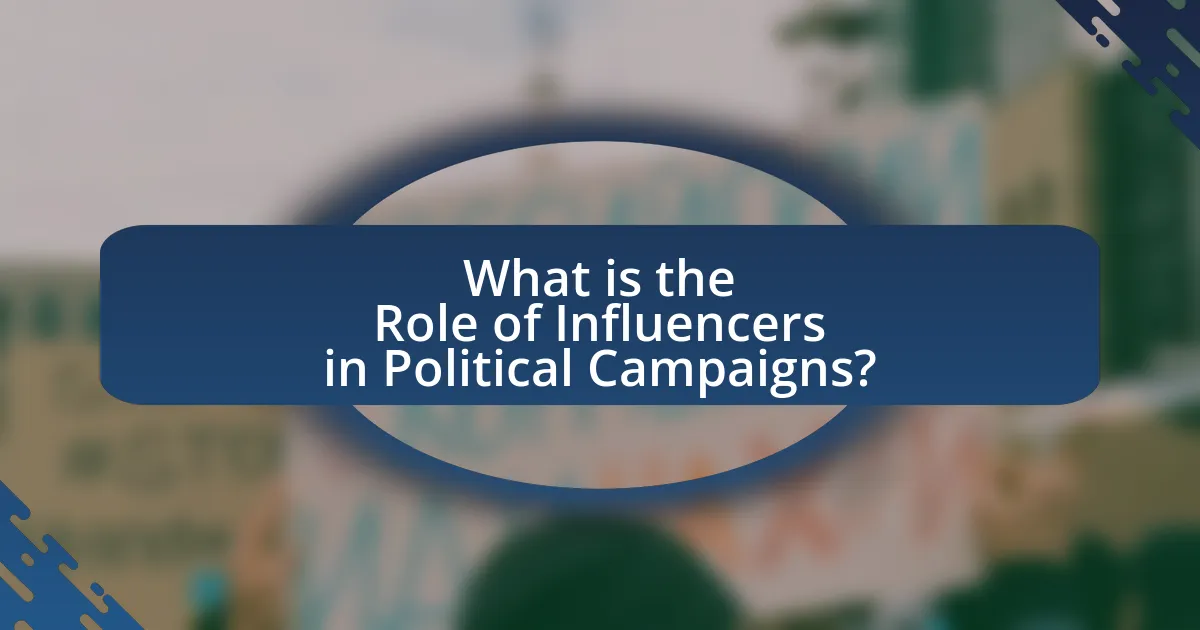 What is the Role of Influencers in Political Campaigns?