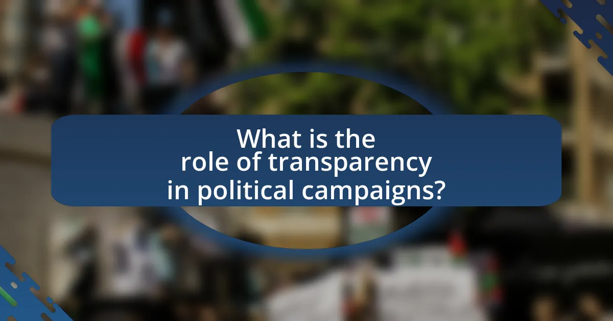 What is the role of transparency in political campaigns?